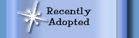 Recently Adopted