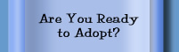 Are You Ready to Adopt?