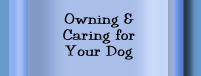Owning and Caring for your dog