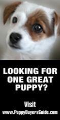 Stop Puppy Mills