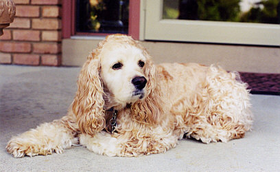 Buster