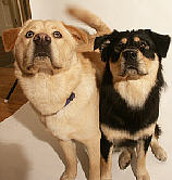 Bonnie and Clyde