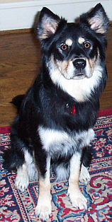 Starr